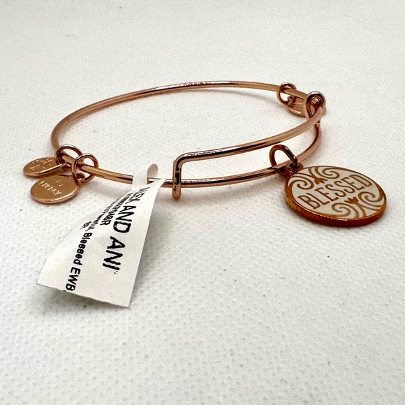 Alex and Ani Gold 'Blessed' Charm Bracelet - Picture 2 of 4